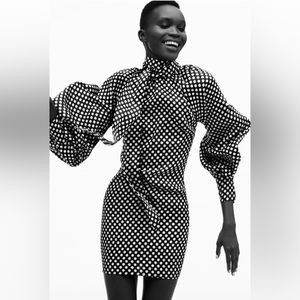 New with tags - Zara Dress